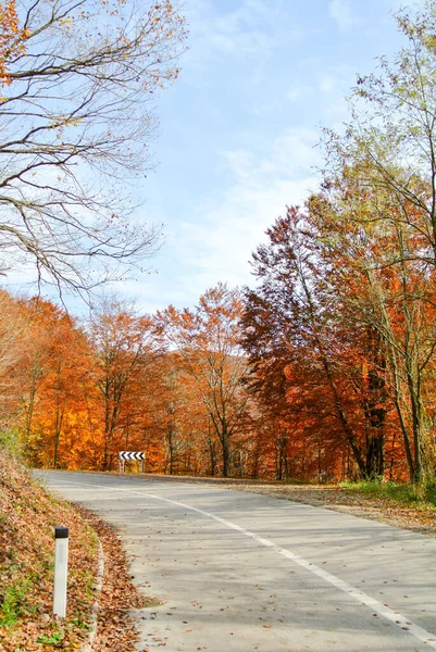 Zakrzywiona Asfaltowa Droga Przez Las Jesienią Drzewami Kolorowych Żółtych Pomarańczowych — Zdjęcie stockowe