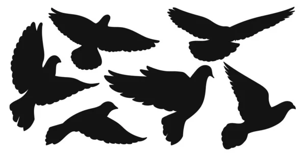 Набор черных силуэтов голубей в полете. Векторная иллюстрация — стоковый вектор