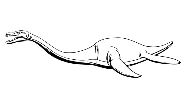 Plesiosaurus dalam gaya linear, tinta gambar. Vektor ilustrasi. - Stok Vektor