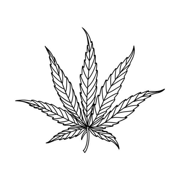 Marihuana yaprağı. Doğrusal simge. Beyazda izole edilmiş. Vektör illüstrasyonu — Stok Vektör