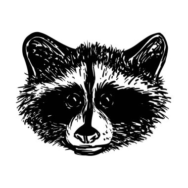 Tişörtlere, kupalara, çantalara baskı yapmak için bir rakunun el çizimi. Vektör ortamı.