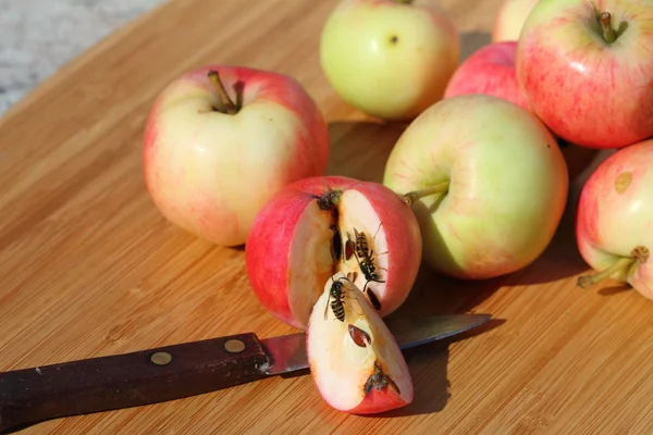 Elma ve yaban arısı