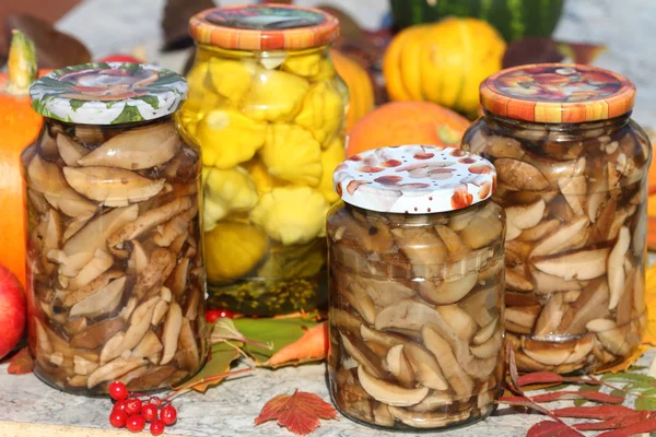 Marinated hats of birch mushrooms — Free Stock Photo