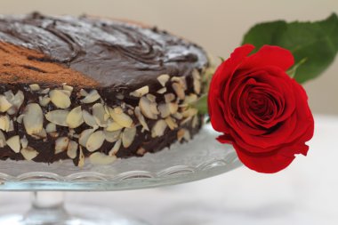 İyi ki doğdun, kızı!