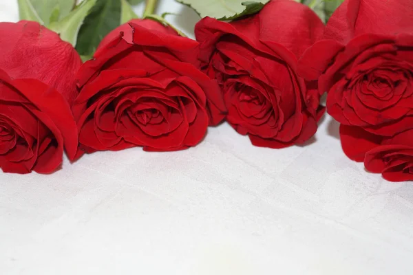 Bouquet of scarlet roses — Stock Photo, Image