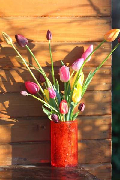 Bouquet of tulips — Stock Photo, Image