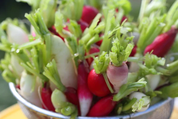 farklı sınıflarda bir çiftçi