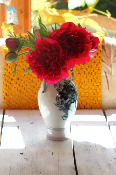 bir vazoda bordo peonies