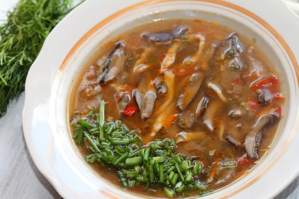 Mushroom soup from birch mushrooms — Stock Image Mushroom soup from birch mushrooms Stock Photo