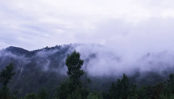 Vista Nublada Nublada Floresta Tropical Encosta Palani Foothills Decan Plkodaikanal — Fotografia de Stock