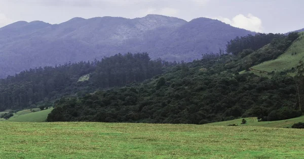 Hermoso Prado Ondulado Bosque Pinos Punto Vista Novena Milla Cerca — Foto de Stock