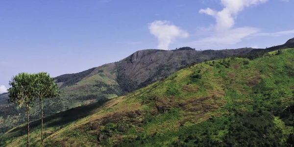 Hindistan Tamil Nadu Kentindeki Kodaikanal Dan Yemyeşil Tahtırevan Tepeleri Doğu — Stok fotoğraf