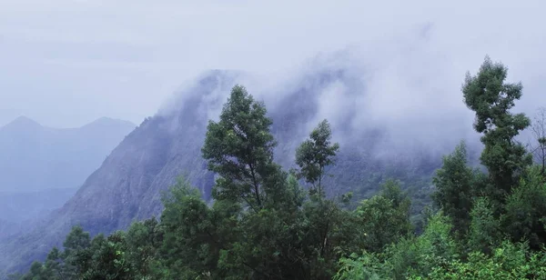 Nuvoloso Vista Nuvoloso Della Foresta Pluviale Tropicale Sul Pendio Dei — Foto Stock