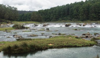 Güney Hindistan, Tamilnadu 'daki Ooty Hill İstasyonu yakınlarındaki Nilgiri dağ eteklerinde yeşil çam ormanlarıyla çevrili Pykara nehri ve şelalesinin manzarası.