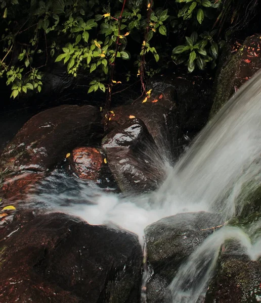 Levinge Bach Und Vattakanal Wasserfall Den Ausläufern Des Palani Bei — Stockfoto