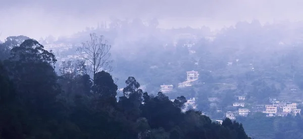 南印度Tamilnadu的Kodaikanal山站 早上的雾蒙蒙的Palani山麓 — 图库照片