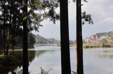 Mirik Tepesi 'nin güzel manzarası, sakin mirik gölü ve çam ormanı, Darjeeling yakınlarındaki Himalaya eteklerinde, Batı Bengal, Hindistan.