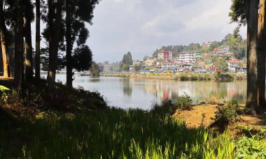 Mirik Tepesi 'nin güzel manzarası, sakin mirik gölü ve çam ormanı, Darjeeling yakınlarındaki Himalaya eteklerinde, Batı Bengal, Hindistan.