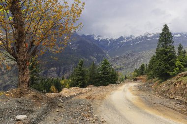 Himachal Pradesh, Hindistan 'daki LaHaul Vadisi' nin güzel ama tehlikeli Himalaya dağ yolu. Macera için Himalayalar boyunca destansı yolculuklar.