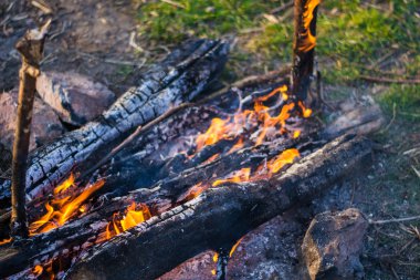 Ateş üzerinde pişirme balık çorbası