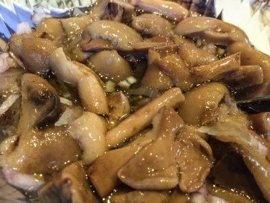 Yolda düşmüş yaprakları