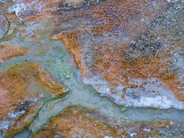 Batı başparmak havzasında yer renkli