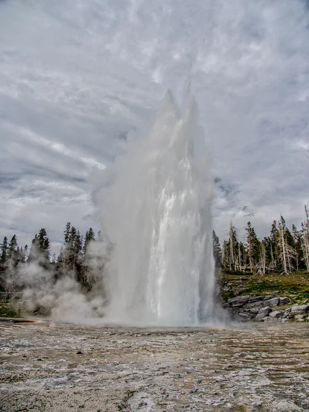 Grand Geyser, Bacia do Geyser Superior Fotografia De Stock