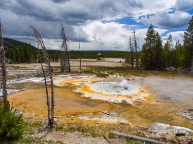 Norris Gayzer Havzası