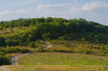 Dağlardaki orman ve yamaca giden yol.