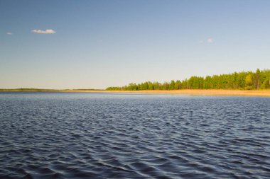 Parlak, güneşli bir yaz gününde göl