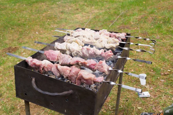 Raw Shish Kebab Prepared Grill — Stock Photo, Image