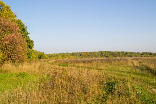 Jesienny Krajobraz Drzewami Błękitnym Niebem — Zdjęcie stockowe