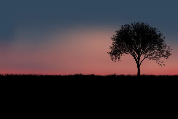 Alacakaranlık gökyüzü ile ağaç siluet — Stok fotoğraf
