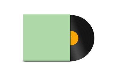 kayıt vinil