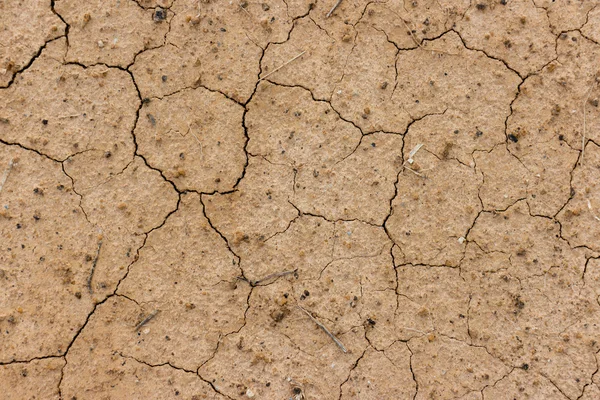 Kuru ve kırık zemin yüzeyi