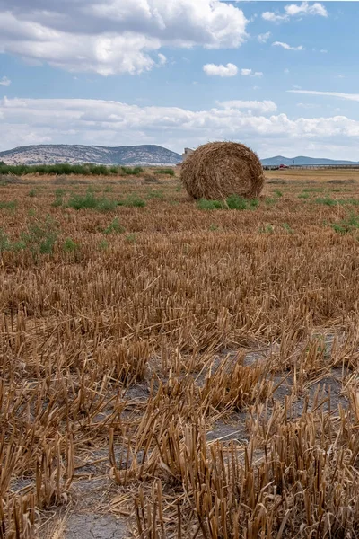 Hay Bales Field Cloudy Day — Stock Photo, Image