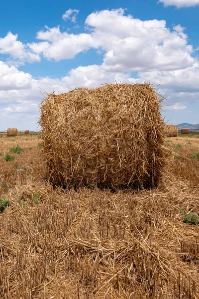 Bulutlu bir günde tarlada saman balyaları. 