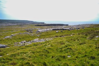 Yeşil çimenler, kayalar ve deniz ile İrlanda kırsalının manzaralı bir kıyı manzarası.