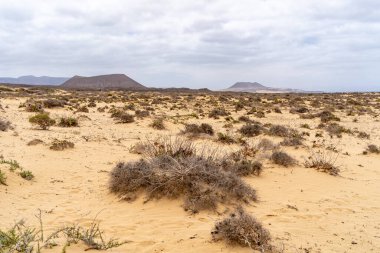 Lanzarote 'deki La Graciosa adasının kurak manzarası bulutlu bir gökyüzünün altında görülebilir volkanik tepeler altında yakalanır..