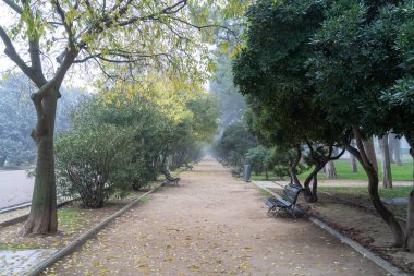 Zaragoza 'daki Jose Antonio Labordeta büyük parkında ağaçlarla kaplı yürüyüş.