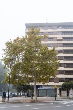 Sisli bir günde, yüksek bir binanın önünde canlı bir ağaç duruyor, şehir manzarasını ve sonbahar renklerini gözler önüne seriyor. Zaragoza, İspanya, 2024-11-20