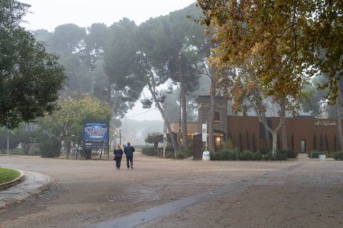 Sisli bir günde Zaragoza Jose Antonio Labordeta 'nın büyük parkına giriş. Zaragoza, İspanya, 2024-11-20