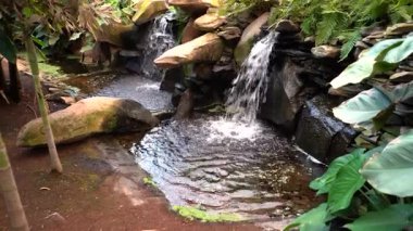Tenerife 'de akan su, yemyeşil yeşillik ve doğal kayaların yer aldığı sakin bir şelale sahnesi. Sakin su küçük bir havuza karışıyor ve rahatlatıcı bir atmosfer yaratıyor..