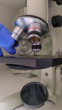 Eldivenli bir el objektif lensleri bir laboratuvar mikroskobuna yerleştirir ve bilimsel gözlem için hazırlanır.