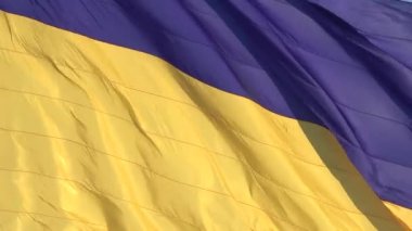 Kiev, Ukrayna 29 Ağustos 2020: Ukrayna bayrağı dünyanın en büyüğü