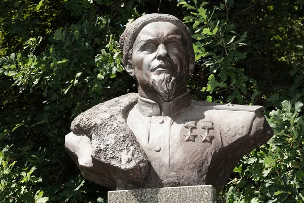 Kiev Ukraine Juillet 2020 Monument Commandant Mouvement Partisan Sidor Artemovich — Photo