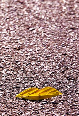 Sonbahar yaprakları yolda dudaklar şeklinde - sonbahar öpücüğü