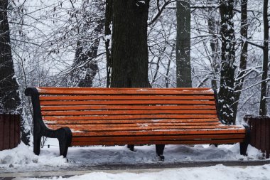 Kış parkında bir bank Kiev Ukrayna