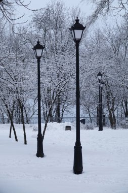 Kış zamanı Avrupa 'sında fenerlerle dolu park