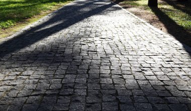 Taşlardan oluşan eski bir yol. Güneş ışığıyla parlayan taşlar.